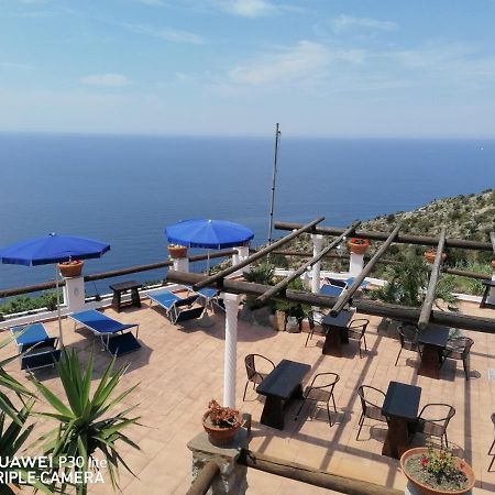 Forio di Ischia Hotel Punto Azzurro מראה חיצוני תמונה
