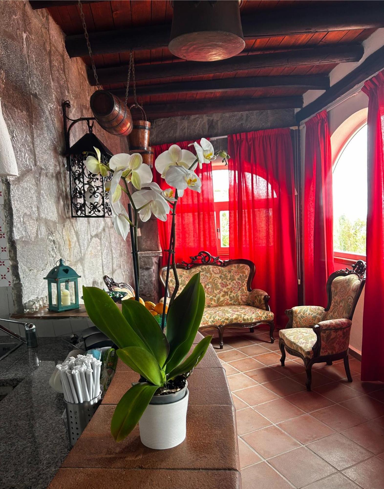 Forio di Ischia Hotel Punto Azzurro מראה חיצוני תמונה